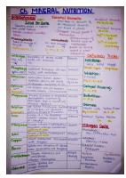 MINERAL NUTRITION class 11th chapter 12.pdf